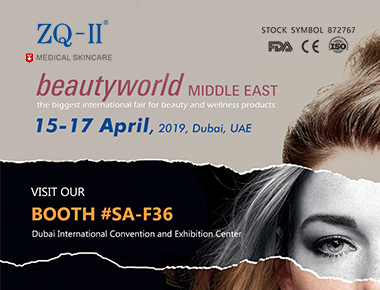 Expoziția Dubai 4.15-17