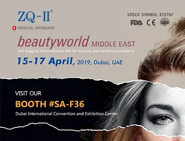 Expoziția Dubai 4.15-17