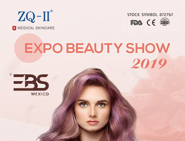 Expoziția Mexic 10.27-29